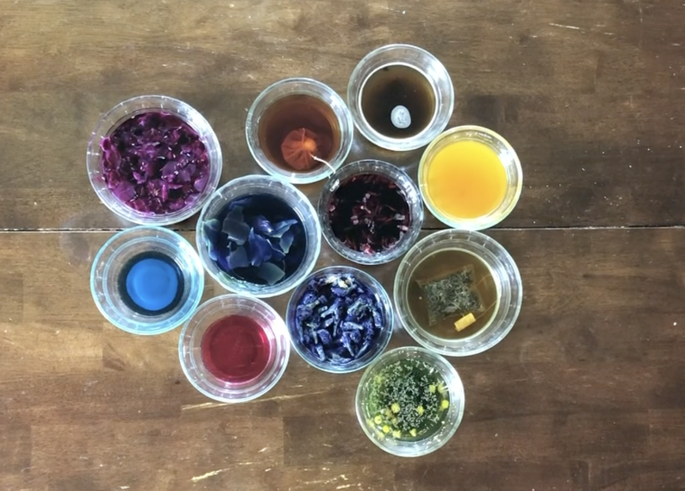 Natural Dye Demo by Caitlin Williams
